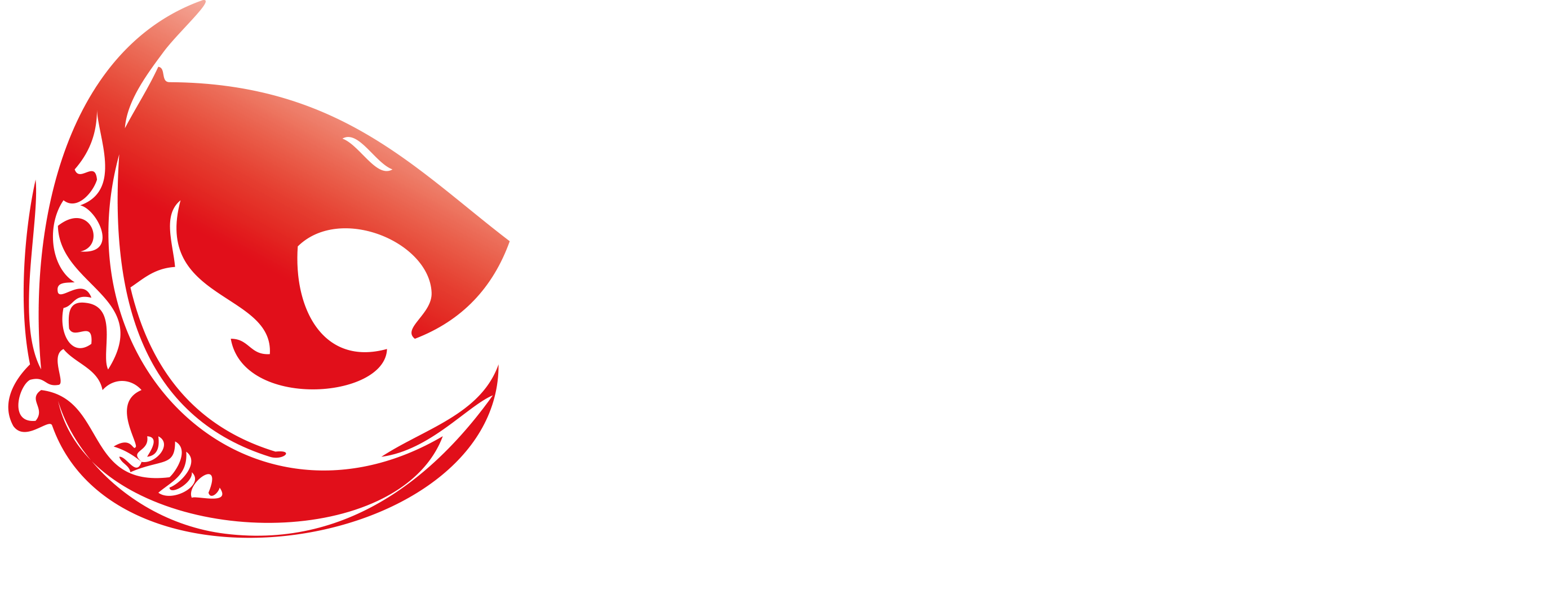 SuraPack Logo